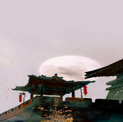 破解版金手指版