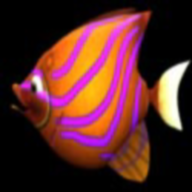 木糖吞食魚安卓版BigFishEatSmallFish