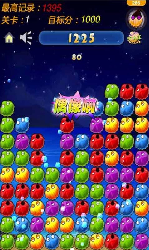 貝殼拾趣