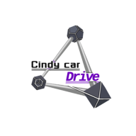 辛迪汽車駕駛游戲新版