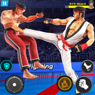 Street Rumble: 空手道戰(zhàn)斗官方版