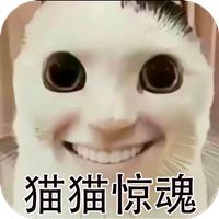 貓鼠特工：貓貓?bào)@魂最新版