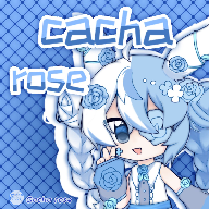 加查玫瑰新版