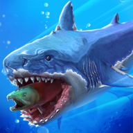 鯊魚進(jìn)化論最新版