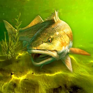 我的釣魚世界新版