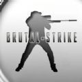 Brutal Strike 2023最新版
