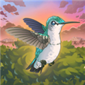 鳥類世界安卓版更新至v.0.75