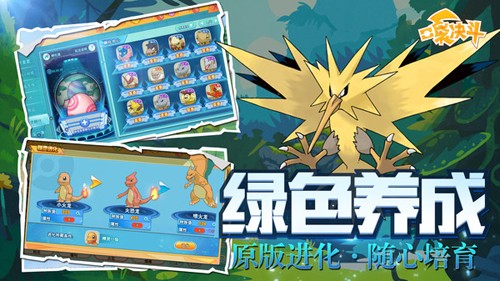 口袋決斗官方版