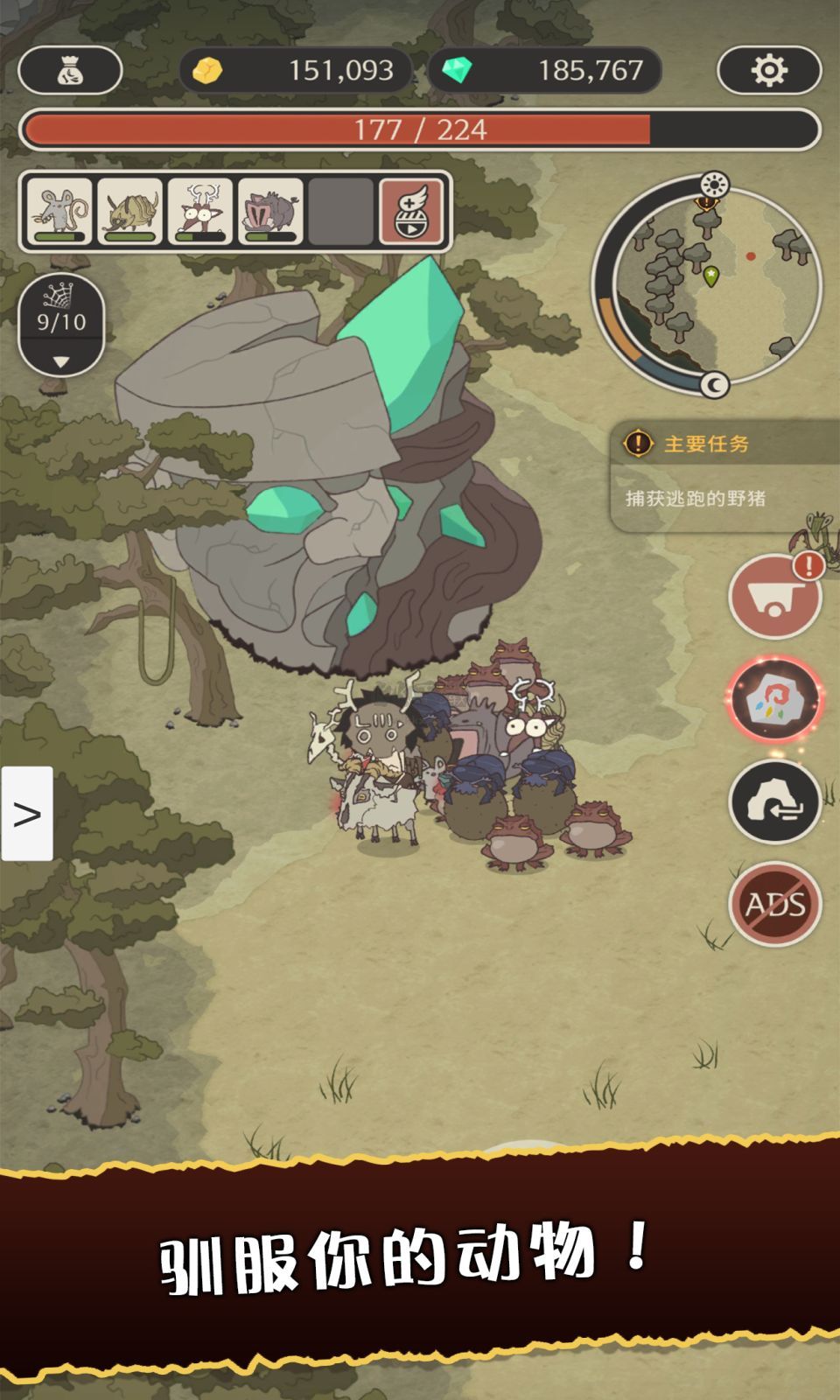 狂野馴獸師：新紀(jì)元