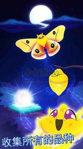 彩翼之星夜 v2.204 安卓版