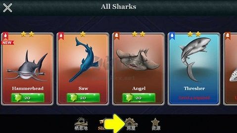 《鯊魚(yú)世界 v13.81 漢化版》