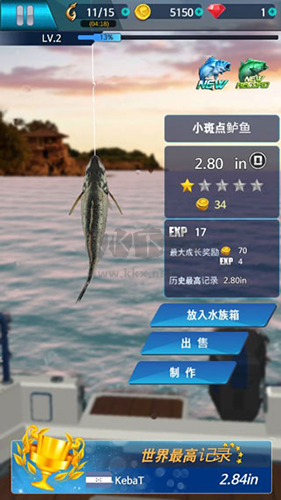 釣魚錦標賽 MOD菜單版 v1.31 最新版