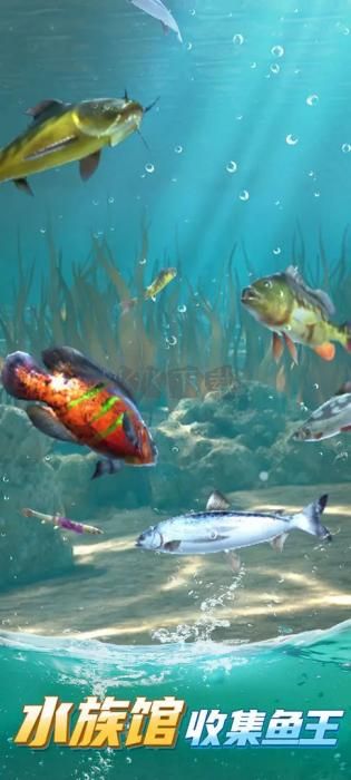狂野釣魚2 內(nèi)置菜單版 v1.0.8