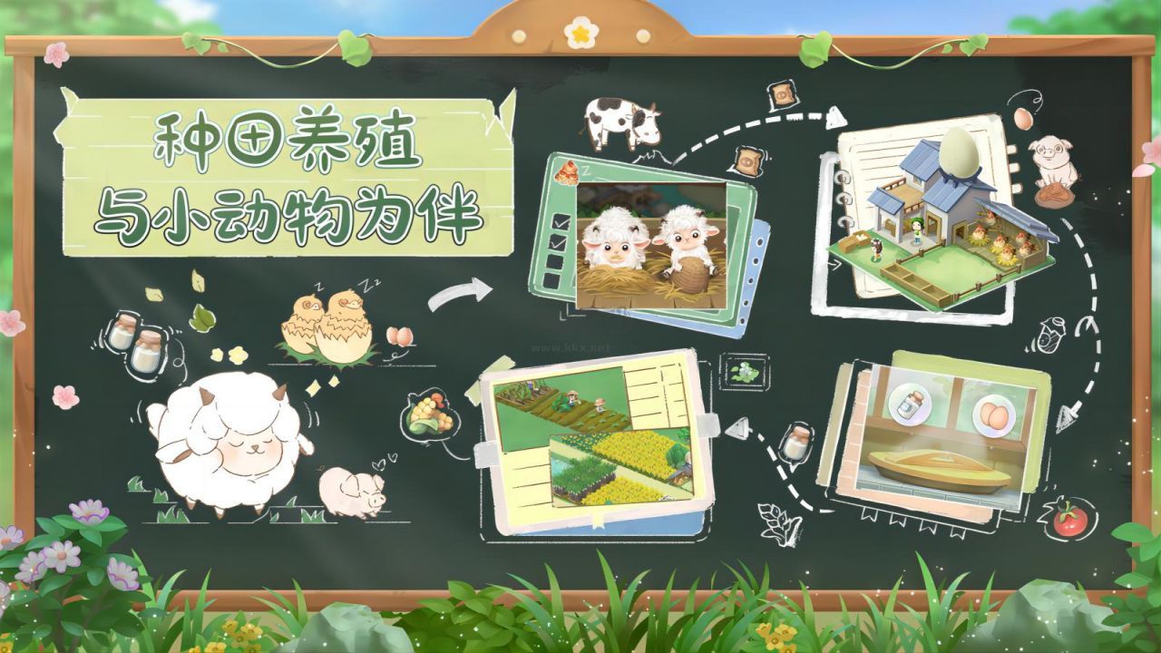 向往的生活 1.8.5.916 安卓版