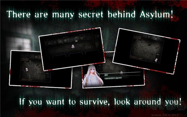 封閉病棟(the asylum closed ward)