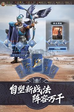 三國(guó)志·戰(zhàn)略版 v2049安卓版 (禮包碼)