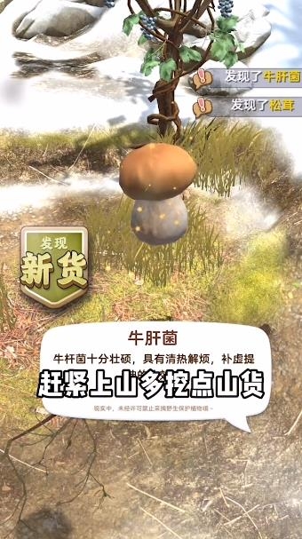趕山趕海開(kāi)飯店手游最新版