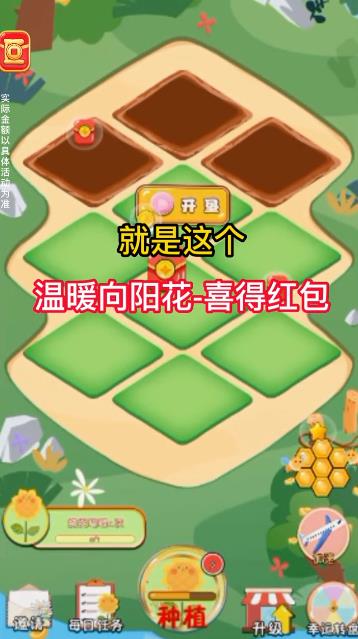 《向陽花手游最新版本》