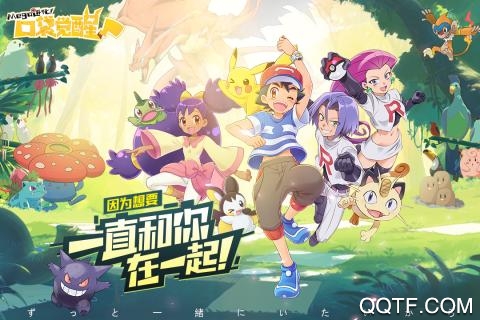 口袋覺醒九游客戶端
