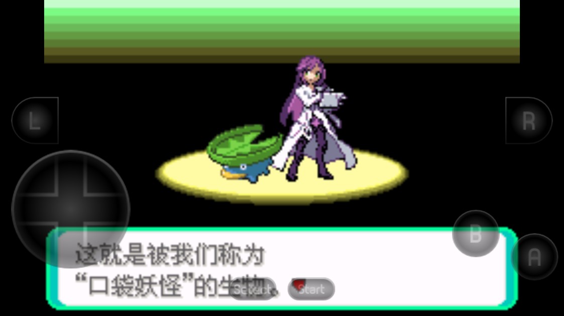 口袋妖怪黑琥珀漢化版