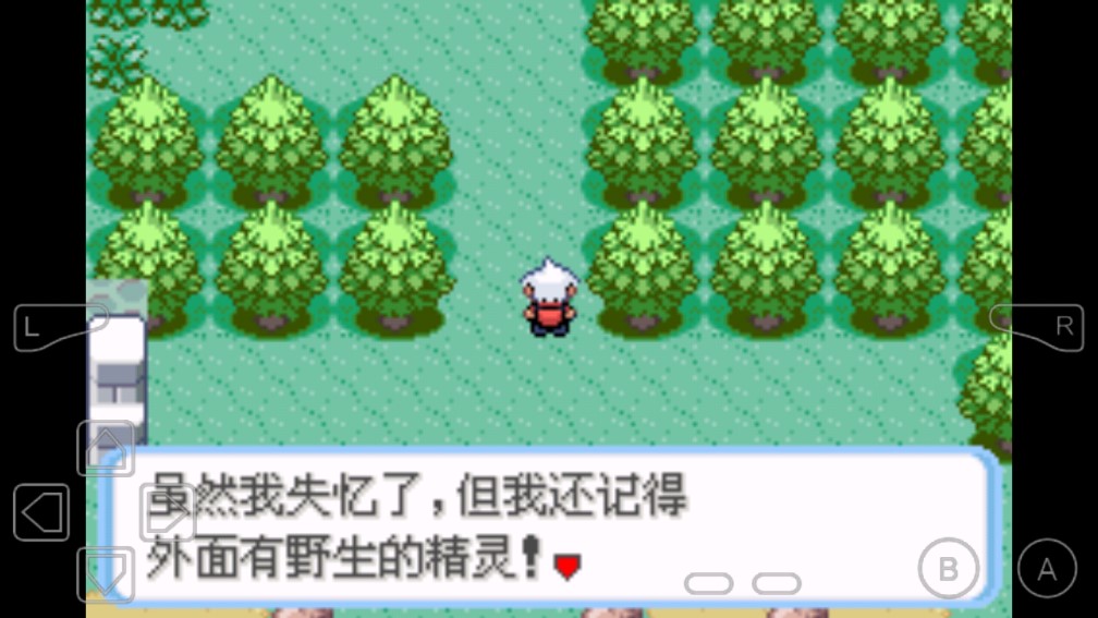 口袋妖怪蛇紋木金手指修改版