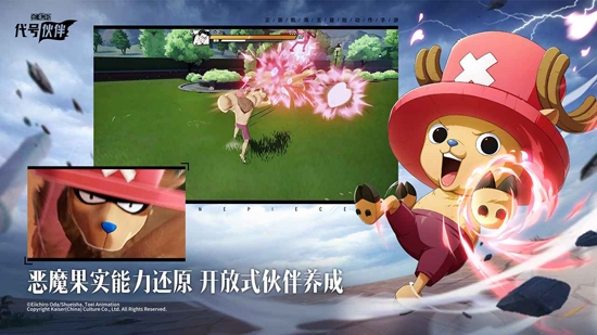 海賊王代號(hào)伙伴官方版(Codename: Partner)