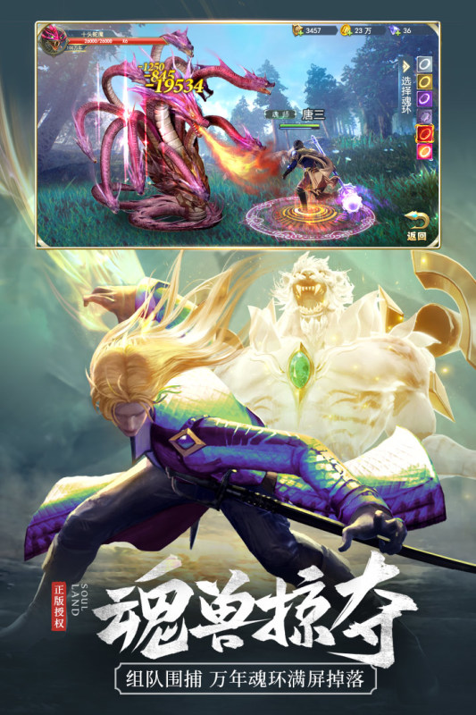 斗羅大陸QQ空間版