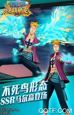 航海王燃燒意志官方版手游