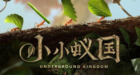 小小蟻國官方版