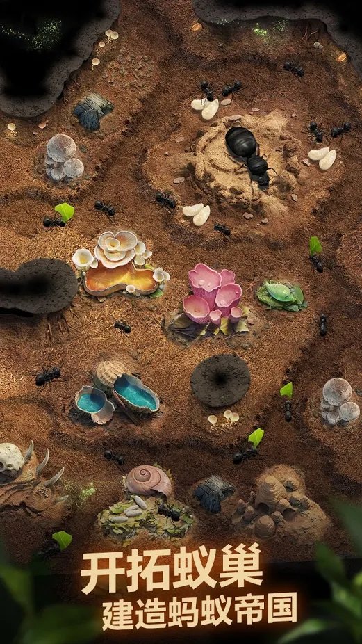 The Ants: Tiny Kingdom International Edition