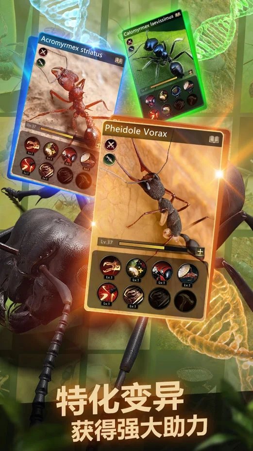 The Ants: Tiny Kingdom International Edition