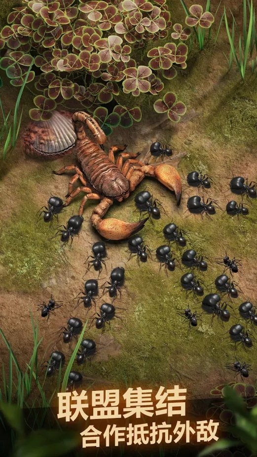 The Ants: Tiny Kingdom International Edition