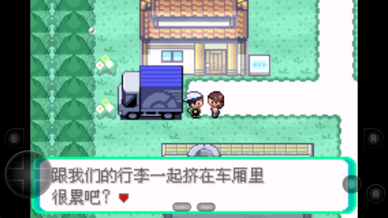 口袋妖怪綠寶石802合眾家族金手指版
