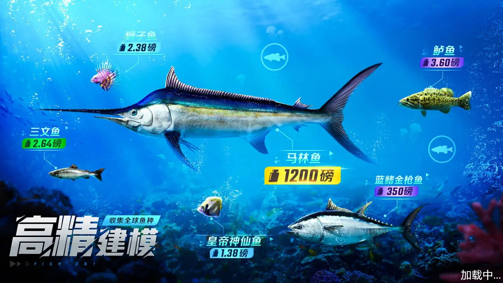 《野外釣魚大師正版》