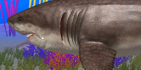 巨鯊模擬器官方版Megalodon Simulator