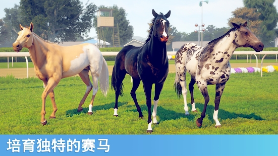 家庭傳奇馬匹養(yǎng)成競技官方版