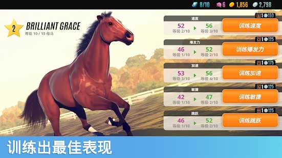家庭傳奇馬匹養(yǎng)成競技官方版