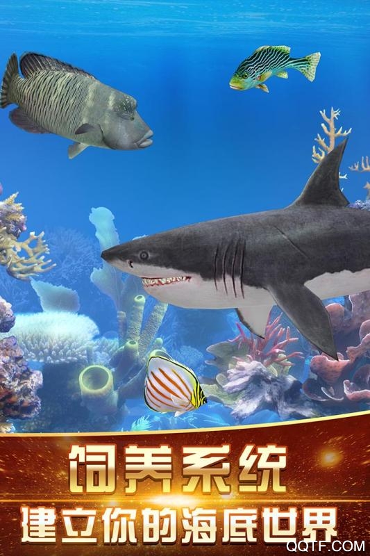 咕咚釣魚手機(jī)版安卓版