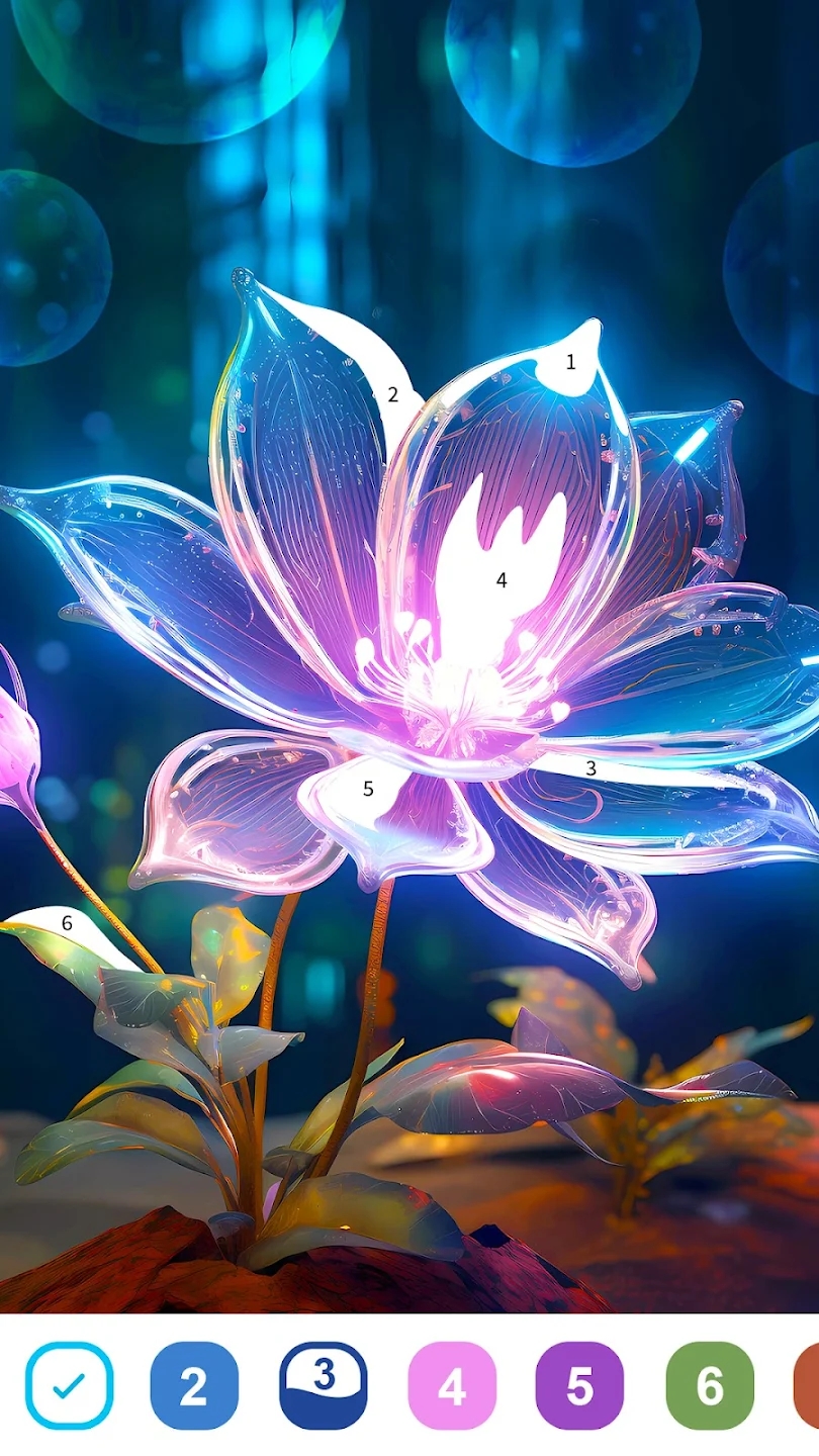 《夢幻色彩官方版》