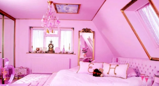 粉紅色家居設(shè)計官方版Pink Home Design