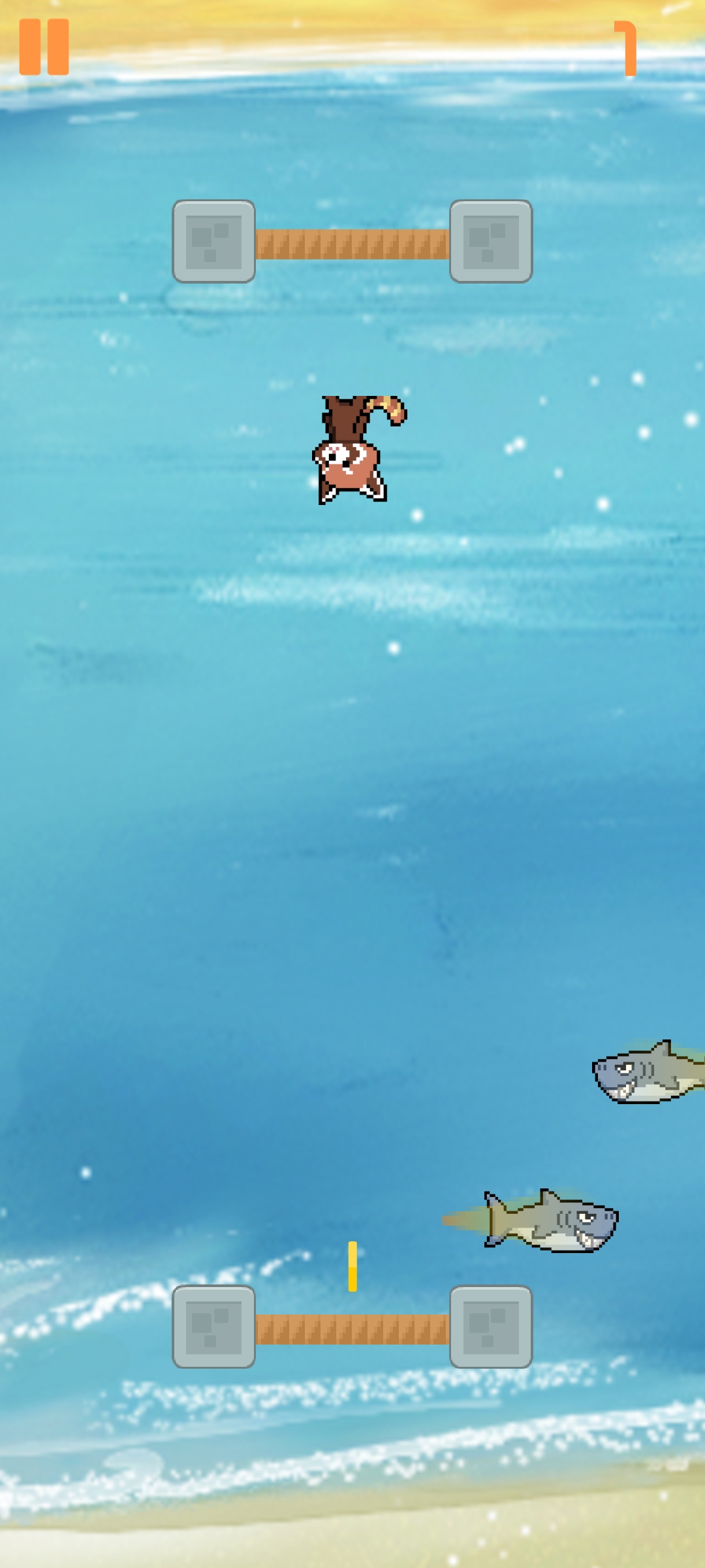 《別被鯊魚吃掉游戲最新版本》