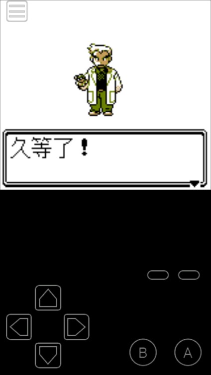 口袋妖怪銀251版中文版