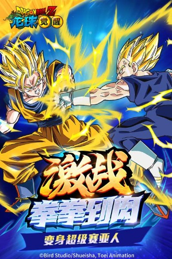 龍珠覺醒