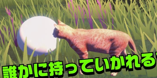 貓的春天官方版(ネコデース)