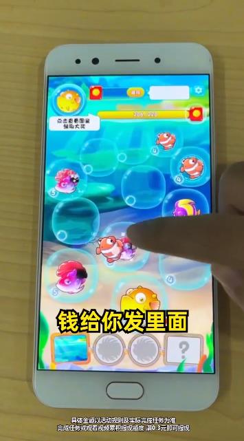 《海洋樂翻天手游新版本》