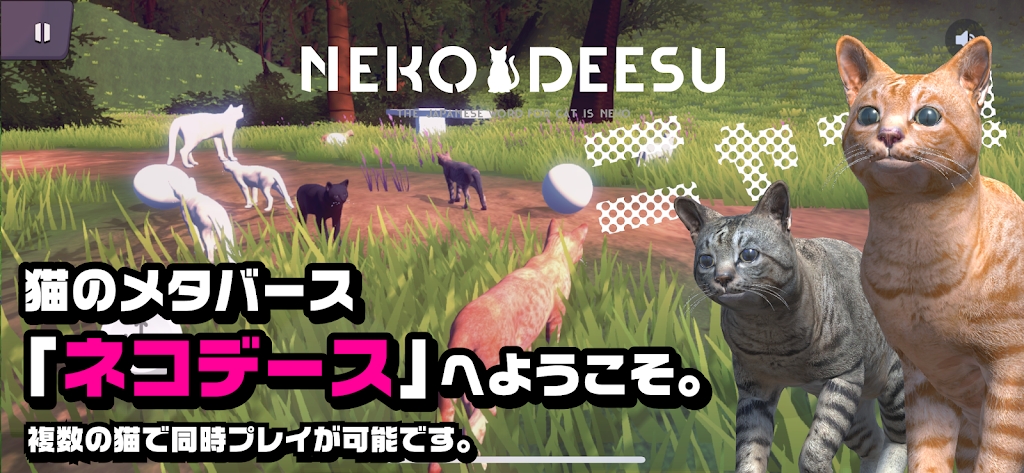 貓的春天官方版