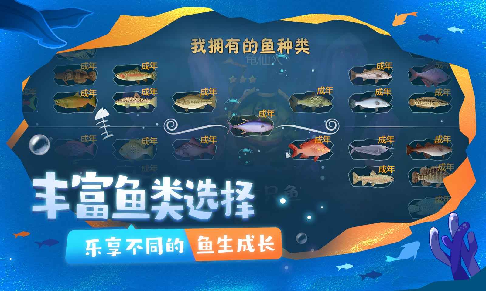 《一只魚(yú)》官方版
