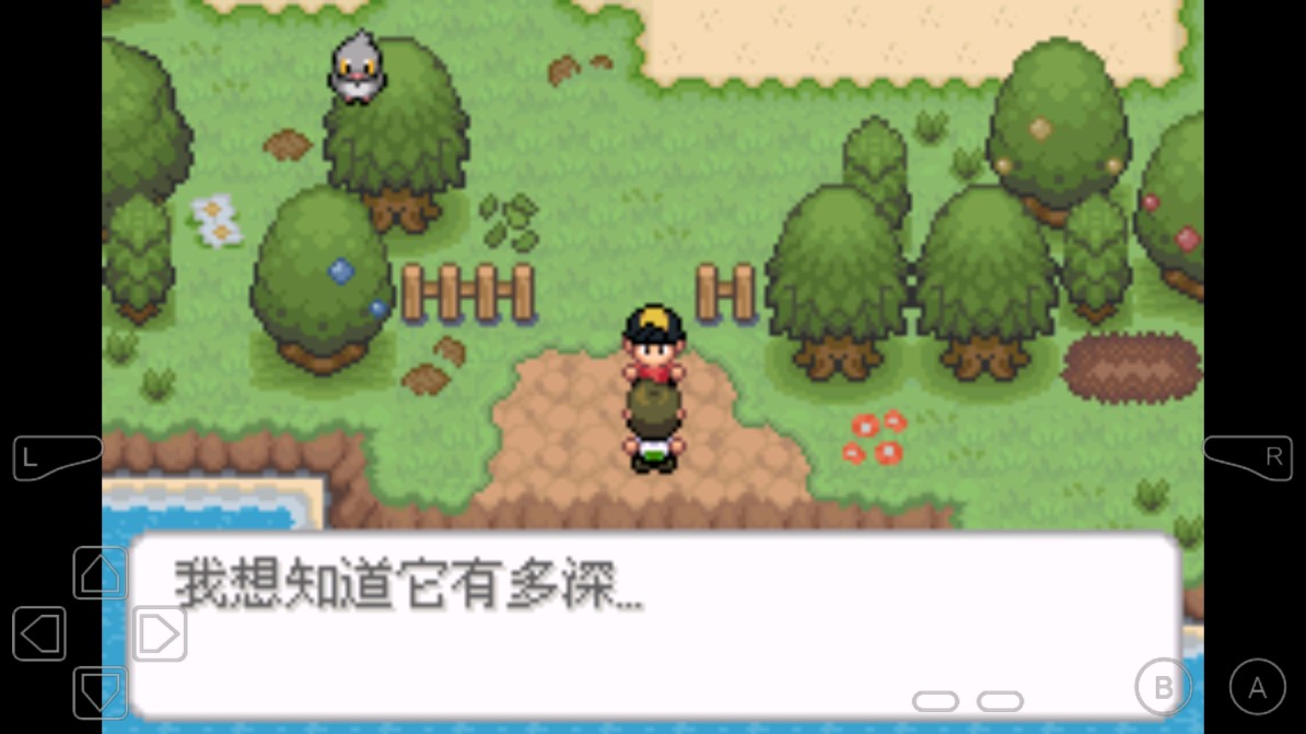 口袋妖怪金手指版