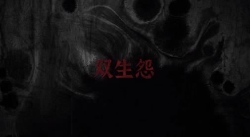 雙生怨游戲最新版