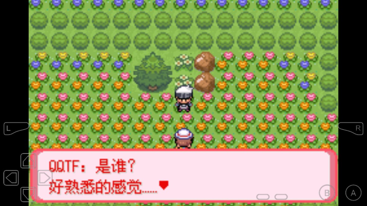 口袋妖怪暗古神壇金手指版8.0